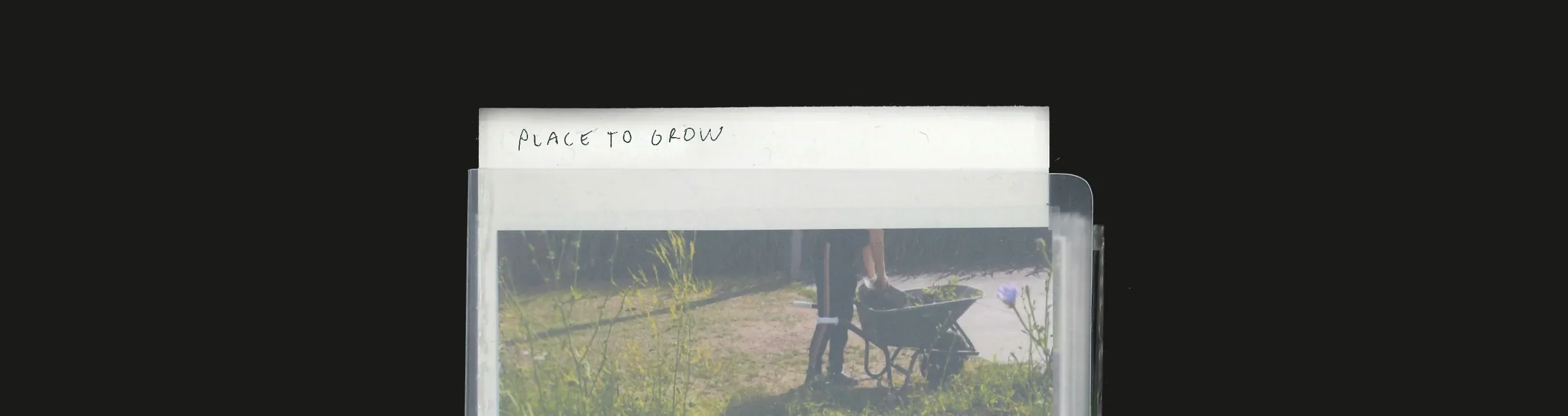 Place to Grow